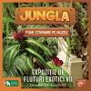 Jungla pune stapanire pe Muzeul Gricore Antipa. Expozitie de fluturi exotici vii.